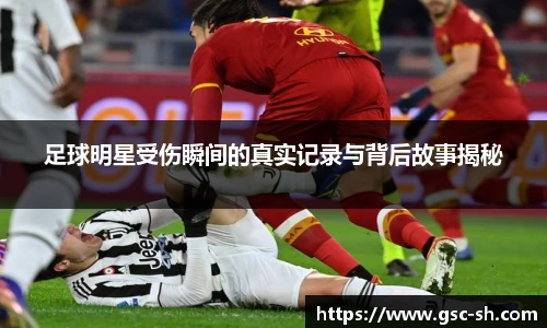 华体会hth官方网站