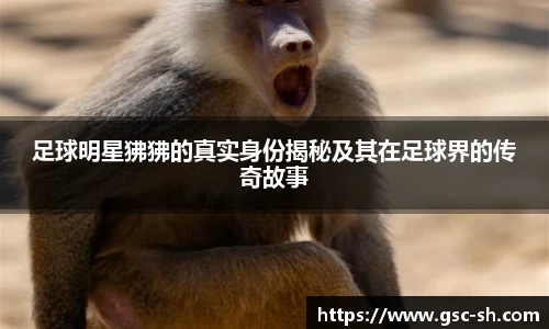 华体会hth登录入口