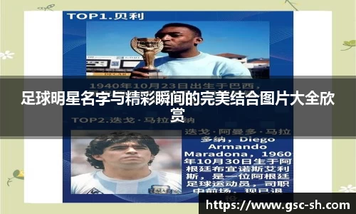 华体会hth官方网站