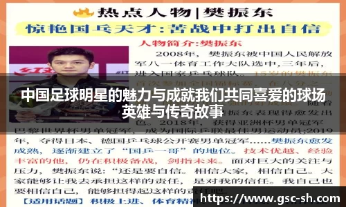 中国足球明星的魅力与成就我们共同喜爱的球场英雄与传奇故事